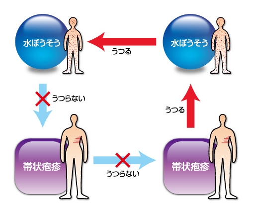 子供 帯状 うつる 確率 に 疱疹