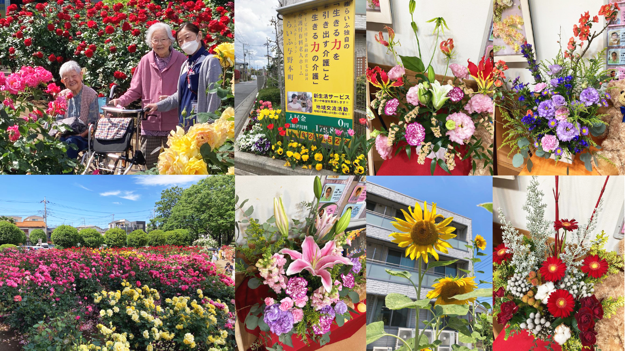 与野本町花