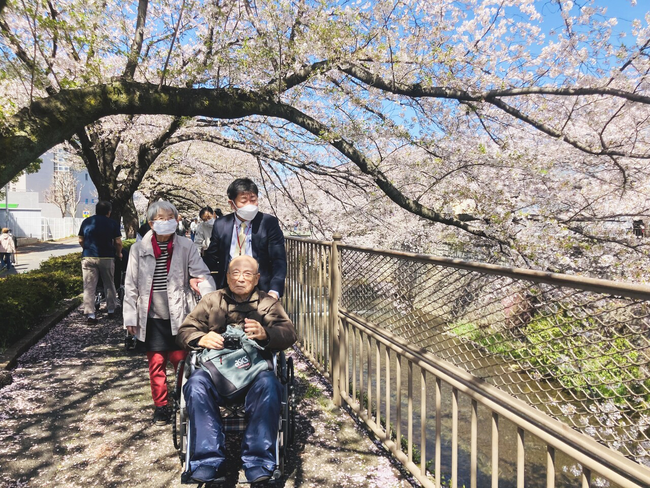 町田桜③